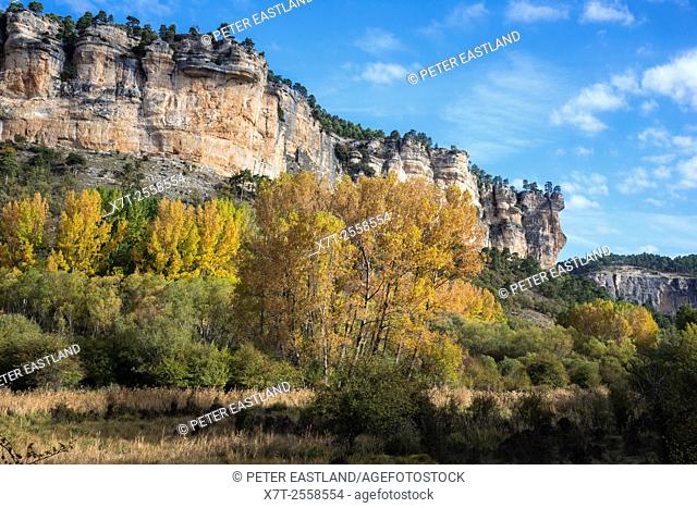 Looking across the reeds at Una in Autumn towards the Serrania de Cuenca, Castilla-la mancha, Central Spain