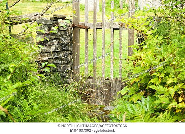 Canada, BC, Saltspring Island.  Old dilapidated garden gate