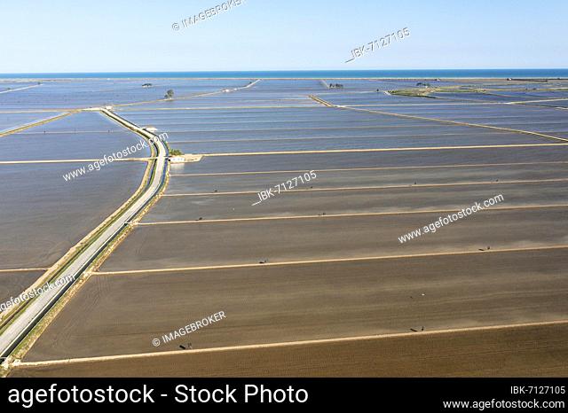 Flooded rice fields in May, aerial view, drone shot, Ebro Delta Nature Reserve, Tarragona province, Catalonia, Spain, Europe