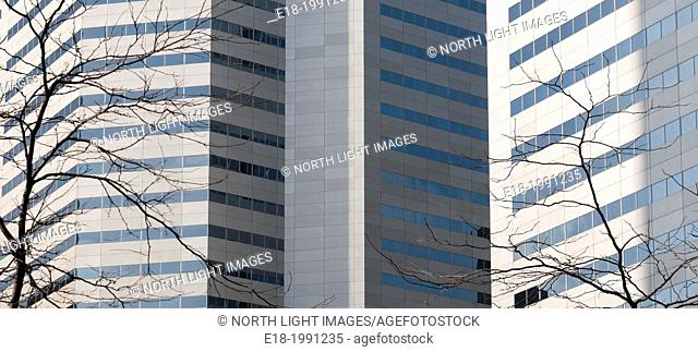 Canada, Quebec, Montreal, Bell Canada Tower with bare trees in the winter