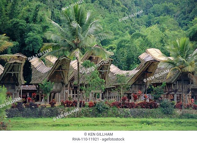 Traditional village, Kete Kesu, Torajaland, Sulawesi, Indonesia
