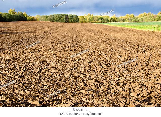 Plowed agricultural field surrounded by forest
