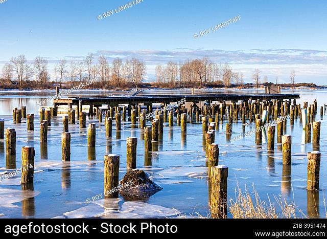 Sheets of ice among wooden pilings along the Steveston waterfront in British Columbia Canada