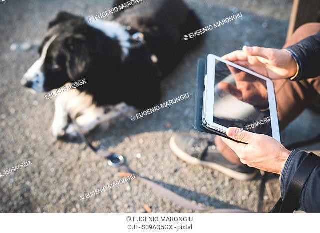 Mid adult man, sitting outdoors with dog, using digital tablet, focus on hands