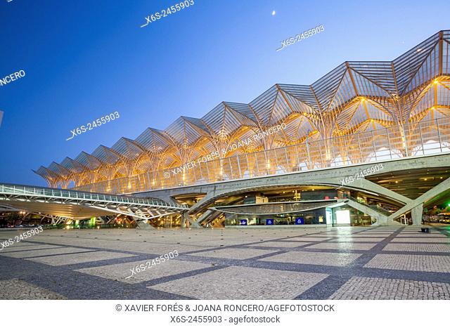 Gare do Oriente in Parque das Nações - Oriente station in Park of the Nations - from Santiago Calatrava architect, Lisboa, Portugal