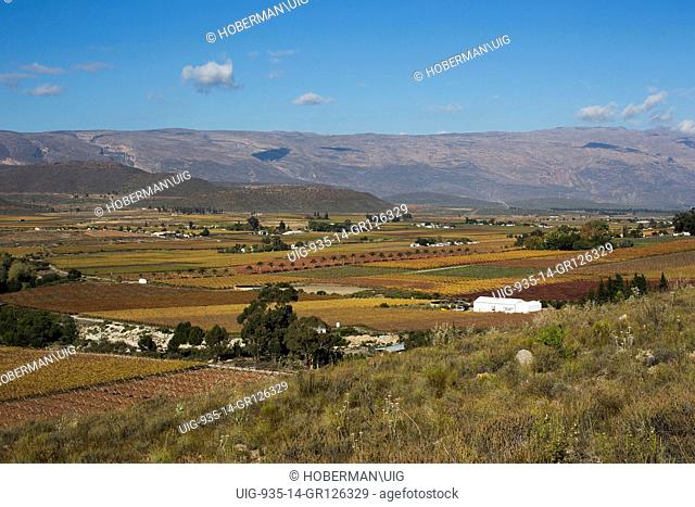 Autumn Winelands Landscapes at the Hex River Valley in the Western Cape