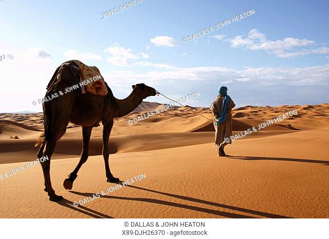 Africa, North Africa, Morocco, Sahara Desert, Merzouga, Erg Chebbi, Berber Tribesman Leading Camel