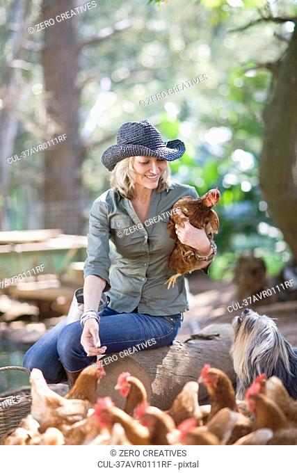 Woman feeding chickens on farm