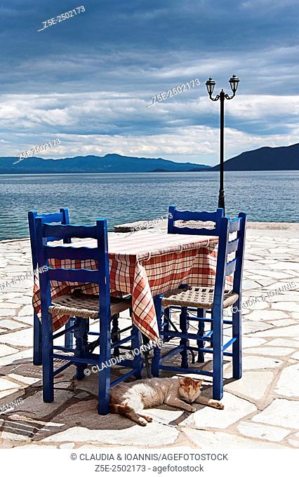 Cat sleeping beneath a table of a seaside taverna on Pelion Peninsula, Thessaly, Greece