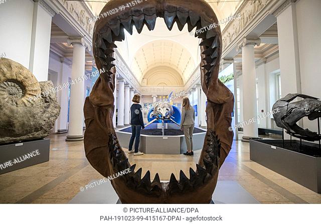23 October 2019, Baden-Wuerttemberg, Stuttgart: Visitors to the Natural History Museum can see the skeleton of an ichthyosaur in the special exhibition ""Huge...