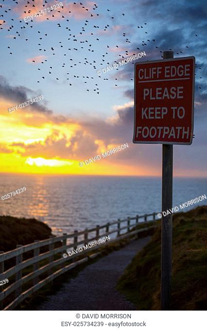 flocks of starlings flying into a yellow sunset sky above cliff edge warning sign in the wild atlantic way