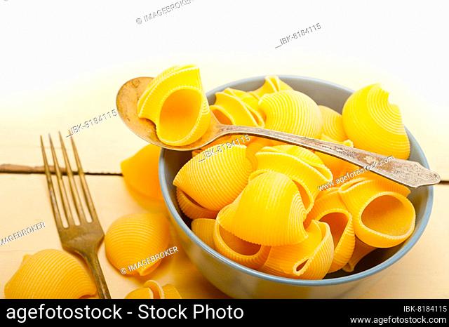 Raw Italian snail lumaconi pasta on a blue bowl over rustic table macro