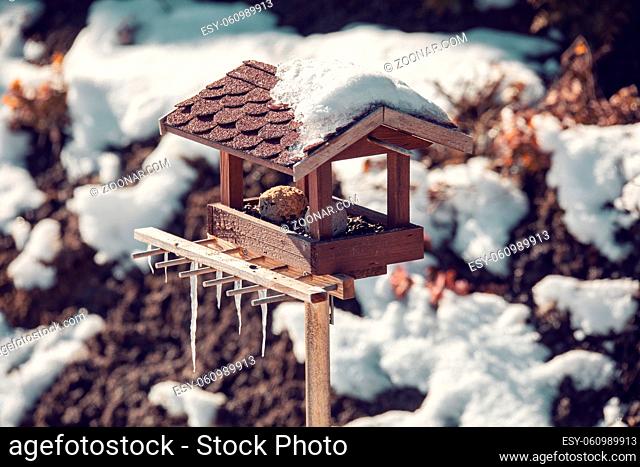 homemade wooden birdhouse, bird feeder installed on winter garden
