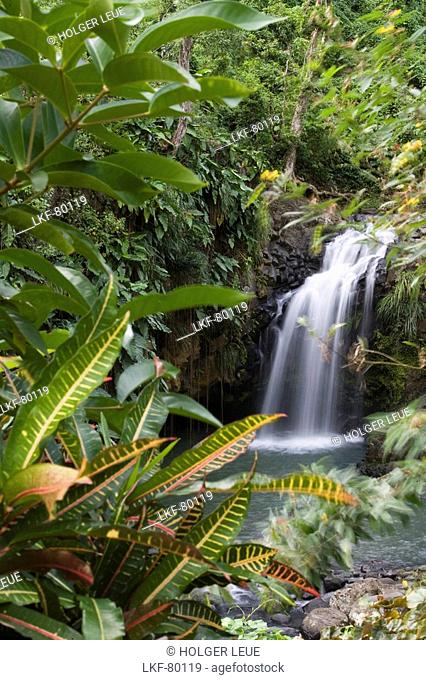 Annandale Falls, Near Constantine, Grenada