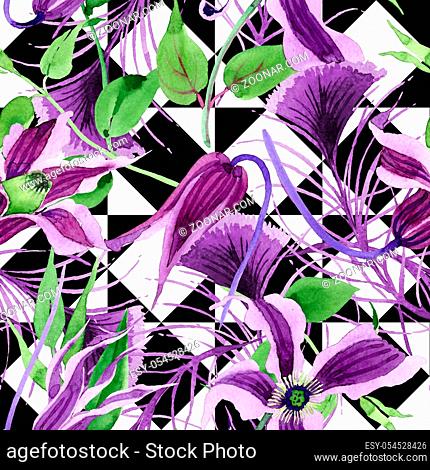 Wildflower clematis hanajima flower pattern in a watercolor style. Full name of the plant: clematis hanajima. Aquarelle wild flower for background, texture