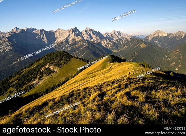 Mountain meadow on the Schönalmjoch in the early morning in the sunlight, on the Schönalmjoch. In the background the peaks of the Karwendel under a blue sky