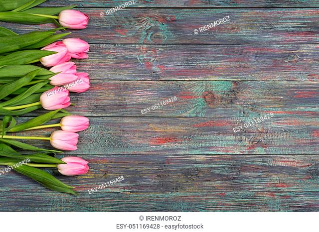 Border of fresh pink spring tulips arranged in a row on rustic multicolor wooden boards. With copy space