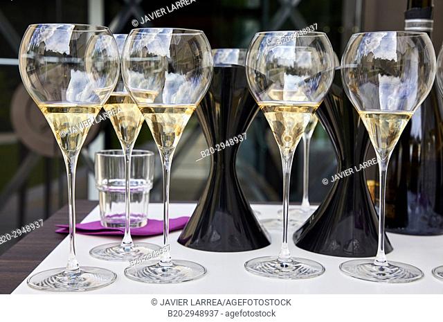 Champagne tasting, Hameau de Villeneuve, Bar-sur-Seine, Aube, Champagne-Ardenne, France, Europe