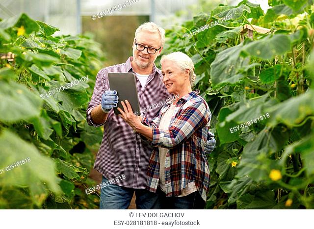 farming, gardening, agriculture and people concept - senior couple with tablet pc computer at farm greenhouse