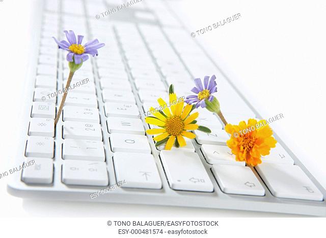 Concept of flowers growing from computer, ecology metaphor