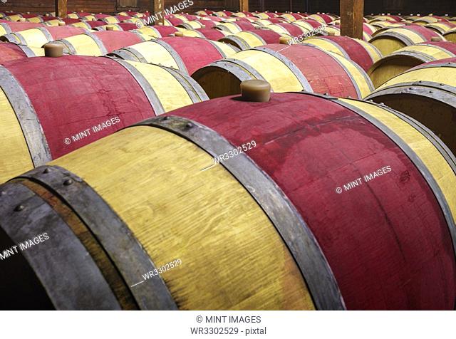 Close up of wine barrels in cellar