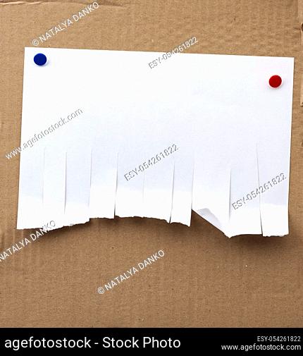 blank paper ad with torn edges attached with iron buttons on a brown cardboard surface, backdrop for sales and messages. Blank template