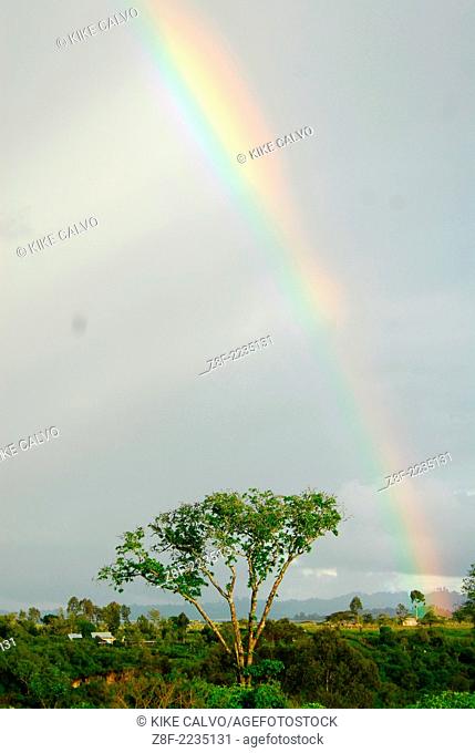 Rainbow over an acacia tree. Sweetwater Rehabilitacion Center in Northen Kenya