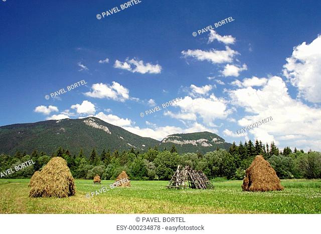 sheaves under mountains