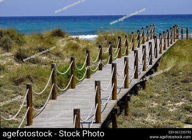 pasarelas de madera sobre las dunas, Son Serra de Marina , Mallorca, balearic islands, Spain
