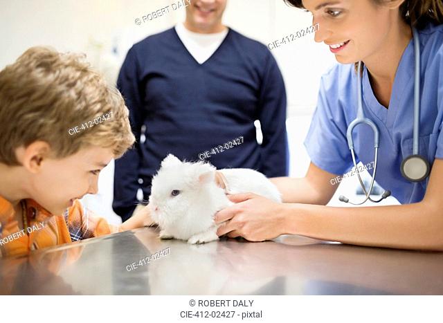 Veterinarian and owner examining rabbit in vet's surgery