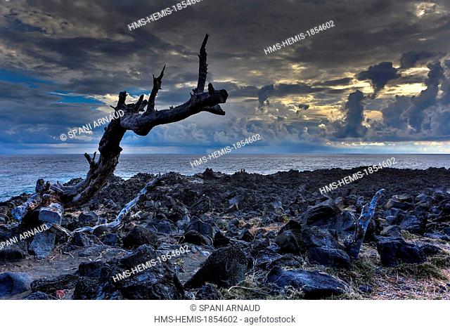 France, Ile de la Reunion (French overseas department), Etang Sale les Bains, Le Gouffre, seascape Shores volcanic rocks exposed to storms