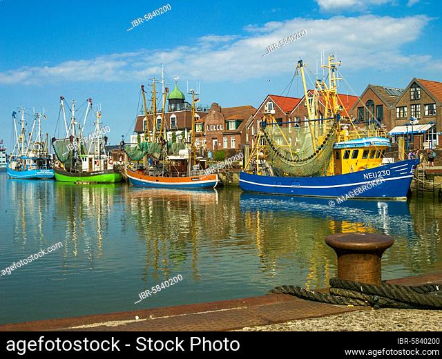 Fishing cutter, berth, east harbour, Neuharlingersiel, coastal town, cutter harbour, bathing resort, East Frisia, North Germany, Germany, Europe