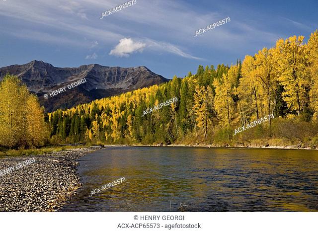 Elk River and Lizard Range in autumn, Fernie, BC, Canada