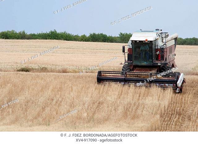Monegros agriculture  Perdiguera Harvest in July, Zaragoza, Spain