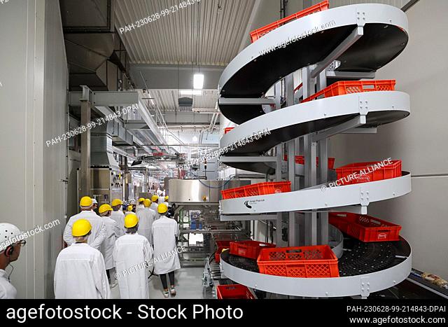 28 June 2023, Saxony, Wiedemar: Bread boxes run down a chute at the Harry Brot GmbH wholesale bakery. On the same day, the Saxon Minister of Health presented...