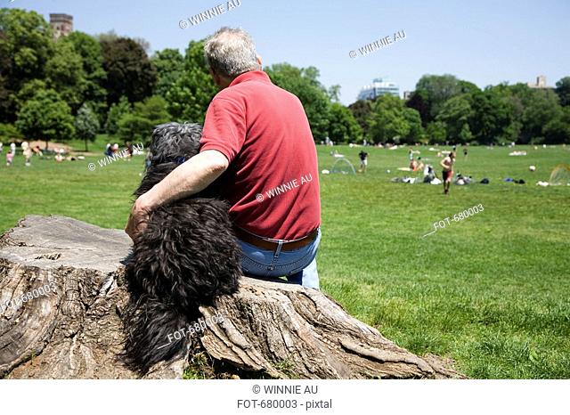 A man with his arm around his dog, rear view, Prospect Park, Brooklyn, New York, USA