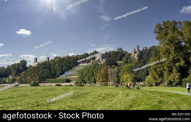 View of the Elbe castles, Eckberg Castle, Lingler Castle, Albrechtsburg Castle, vineyards, Elbe meadows, Elbe cycle path, Elbe Florence, sunshine, blue sky