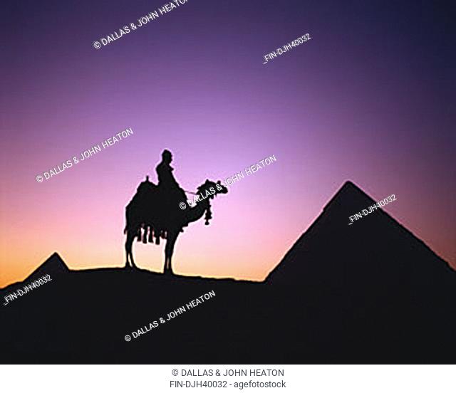 Egypt, Cairo, Giza, Chephren Pyramid, Camel and Driver, Sunset