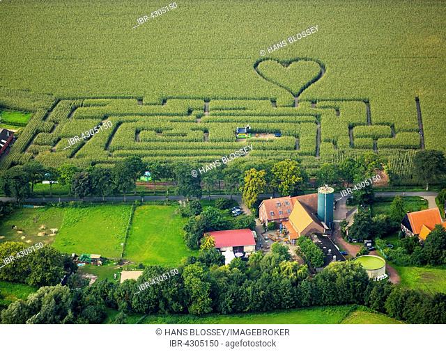 Labyrinth with a heart in the cornfield, corn maze, heart shape, heart shaped, Herten, Ruhr district, North Rhine-Westphalia, Germany