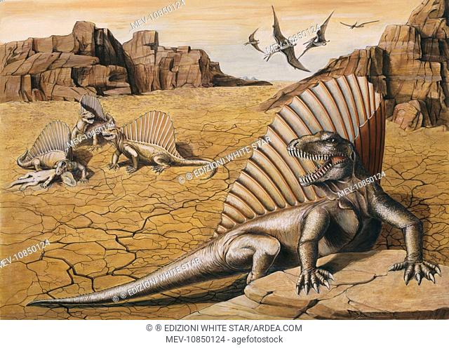 DINOSAUR - Dimetrodon group showing typical fin-back framework for sail. Pteranodon flying. Early Permian period (286 million years ago)