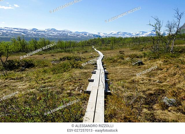 Lapland landscape: hiking path in Malla Strict Nature Reserve in Kilpisjarvi, Lapland, Finland, Europe
