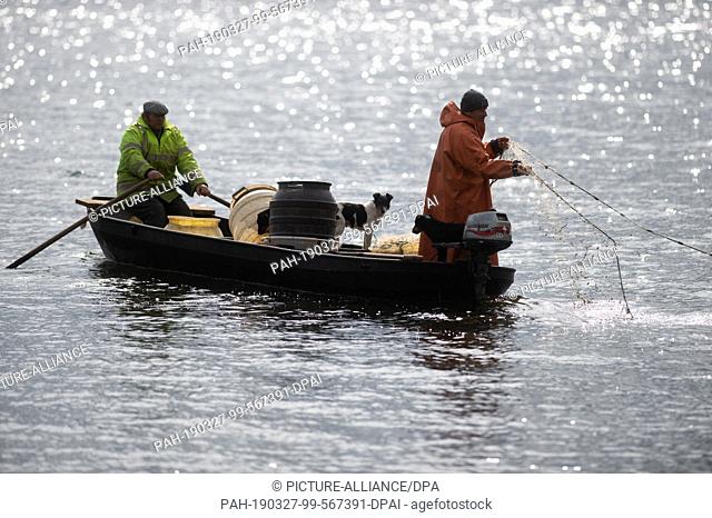 27 March 2019, Saxony-Anhalt, Magdeburg: The fisherman Gernot Quaschny (r) throws out his net on the Barleber lake. The fishing of the whitefish stock had been...