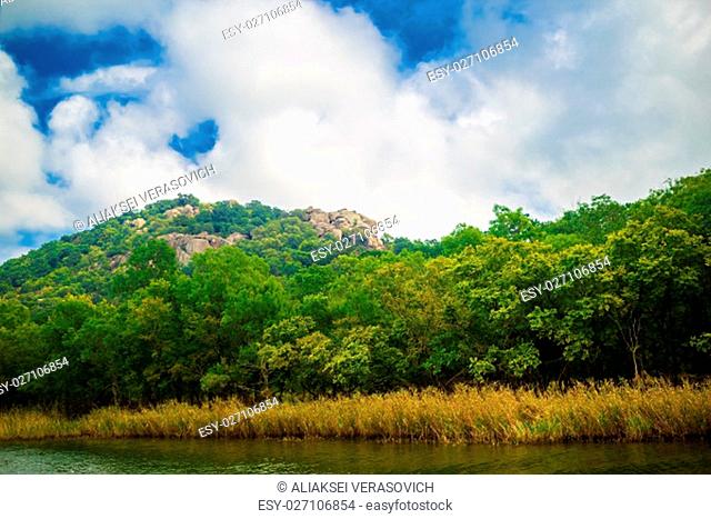 Green vegetation and mountains covered with forests on the banks of the Ropotamo river in Bulgaria. Summer landscape