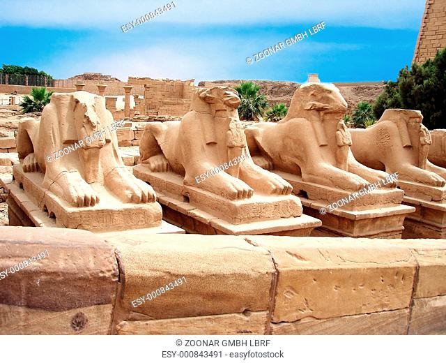 ancient statues in a Egypt