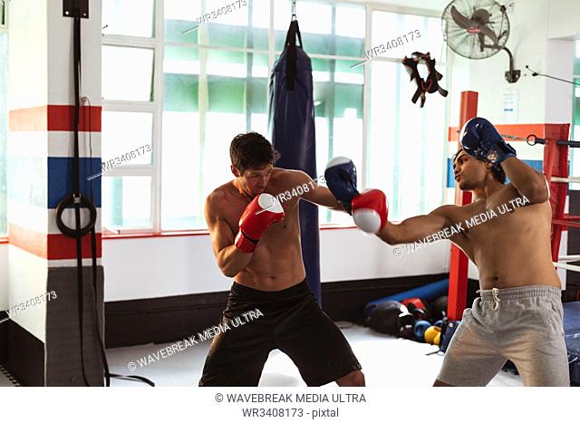 Side view of young Caucasian and a young mixed race male boxers sparring in a boxing gym