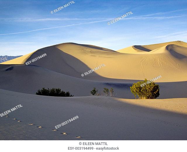 Death Valley Dunes