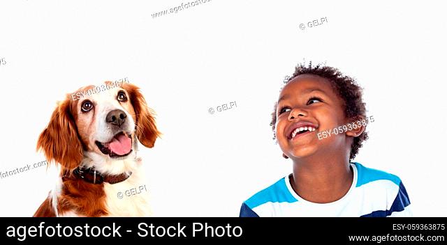 Afroamerican child with his dog looking up isolated on a white background