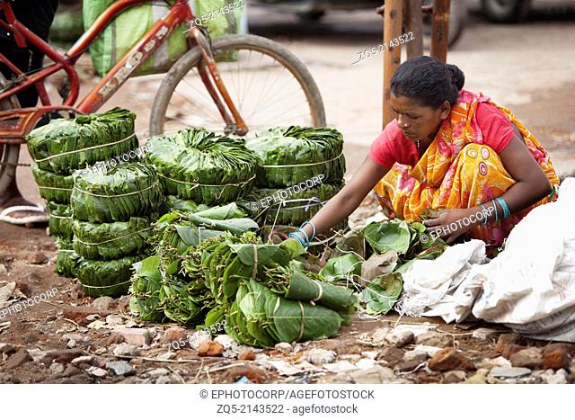 Munda tribal woman selling leaf plates called patal made from jungle Saal leaves (Shorea Robusta ), Ranchi, Jharkhand, India