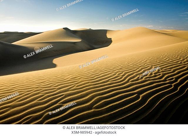 The sand dunes at Maspalomas in Gran Canaria