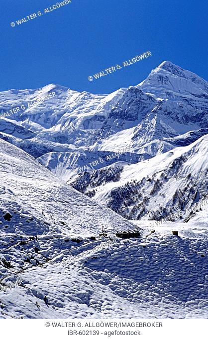 Tilicho Peak (7134 m or 23405 ft), Annapurna region, Himalayas, Nepal, Asia